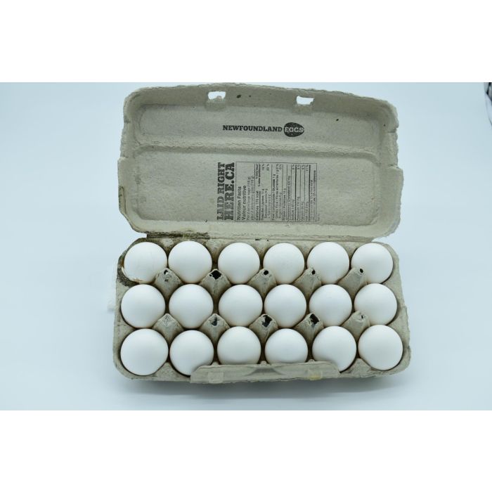 18 Extra Large Newfoundland Eggs