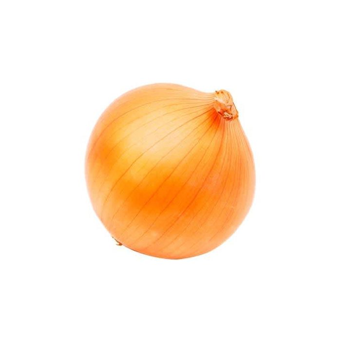 Yellow Onion 50 lb bag