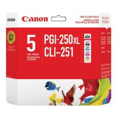 Canon PGI-250XL Black & CLI-251 Ink Cartridges