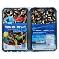 Farmed Blue Mussels