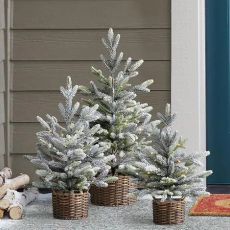 3 Piece Battery Operated Flocked Trees with LED Lights
