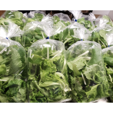 Lettuce mix 5 oz Green Farm NL